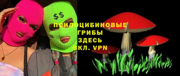 spice Баксан