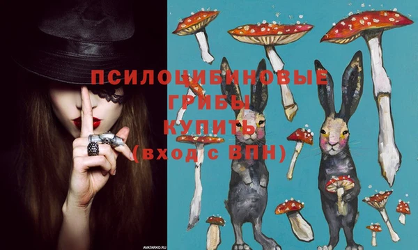 мяу мяу мука Арсеньев