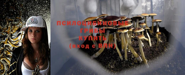 spice Баксан