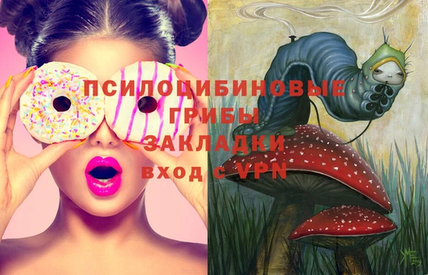 мет Балахна