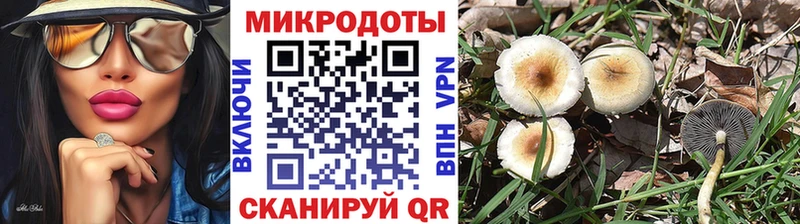 Псилоцибиновые грибы Cubensis  Купить  Саяногорск 